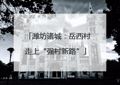 潍坊诸城：岳西村走上“强村新路”