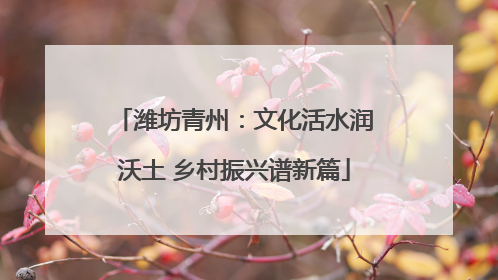 潍坊青州：文化活水润沃土 乡村振兴谱新篇