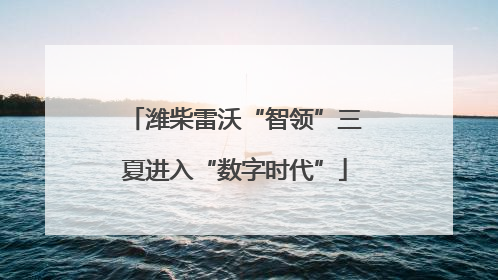 潍柴雷沃“智领”三夏进入“数字时代”