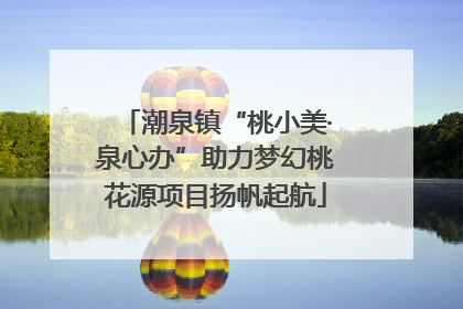 潮泉镇“桃小美·泉心办”助力梦幻桃花源项目扬帆起航