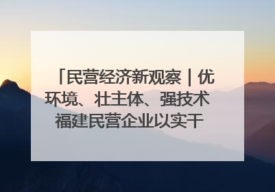 民营经济新观察｜优环境、壮主体、强技术 福建民营企业以实干担当聚势谋进