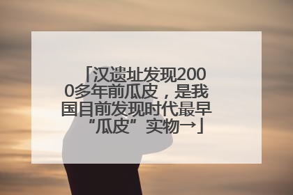 汉遗址发现2000多年前瓜皮，是我国目前发现时代最早“瓜皮”实物→