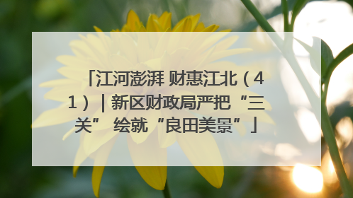 江河澎湃 财惠江北（41）｜新区财政局严把“三关” 绘就“良田美景”