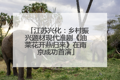 江苏兴化：乡村振兴题材现代淮剧《油菜花开燕归来》在南京成功首演