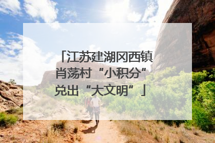 江苏建湖冈西镇肖荡村“小积分”兑出“大文明”