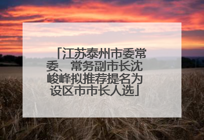 江苏泰州市委常委、常务副市长沈峻峰拟推荐提名为设区市市长人选