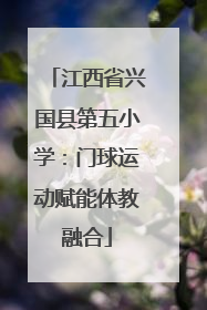 江西省兴国县第五小学：门球运动赋能体教融合