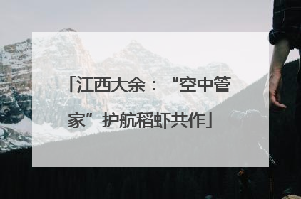 江西大余：“空中管家”护航稻虾共作