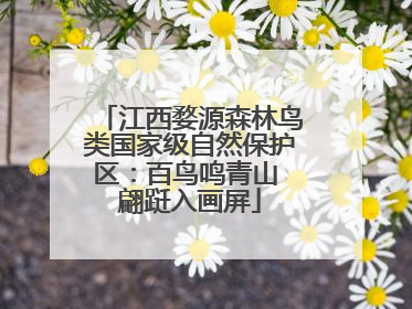 江西婺源森林鸟类国家级自然保护区：百鸟鸣青山 翩跹入画屏