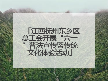 江西抚州东乡区总工会开展“六一”普法宣传暨传统文化体验活动