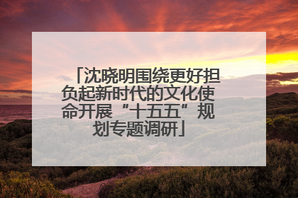 沈晓明围绕更好担负起新时代的文化使命开展“十五五”规划专题调研
