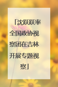 沈跃跃率全国政协视察团在吉林开展专题视察