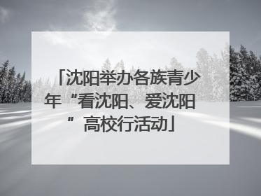 沈阳举办各族青少年“看沈阳、爱沈阳”高校行活动