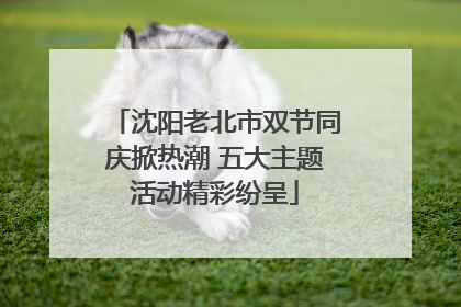 沈阳老北市双节同庆掀热潮 五大主题活动精彩纷呈
