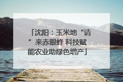 沈阳：玉米地“请”来赤眼蜂 科技赋能农业助绿色增产