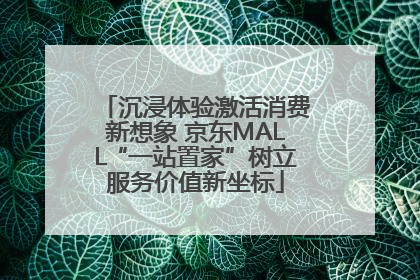 沉浸体验激活消费新想象 京东MALL“一站置家”树立服务价值新坐标
