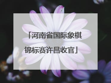 河南省国际象棋锦标赛许昌收官