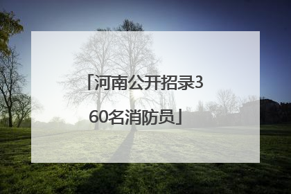 河南公开招录360名消防员