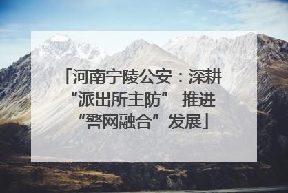 河南宁陵公安：深耕“派出所主防” 推进“警网融合”发展