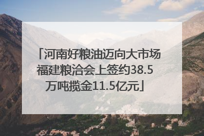 河南好粮油迈向大市场 福建粮洽会上签约38.5万吨揽金11.5亿元