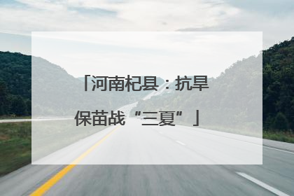 河南杞县：抗旱保苗战“三夏”