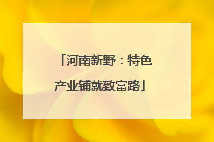 河南新野：特色产业铺就致富路