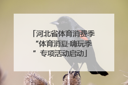 河北省体育消费季“体育消夏·嗨玩季”专项活动启动