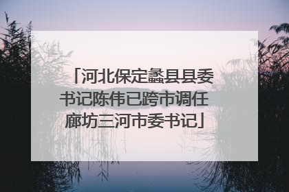 河北保定蠡县县委书记陈伟已跨市调任廊坊三河市委书记