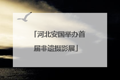 河北安国举办首届非遗摄影展