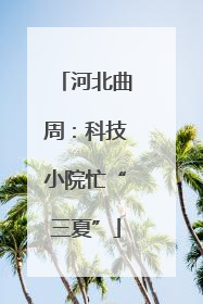 河北曲周：科技小院忙“三夏”