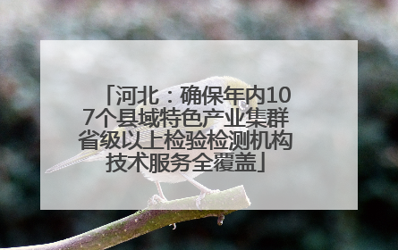 河北：确保年内107个县域特色产业集群省级以上检验检测机构技术服务全覆盖