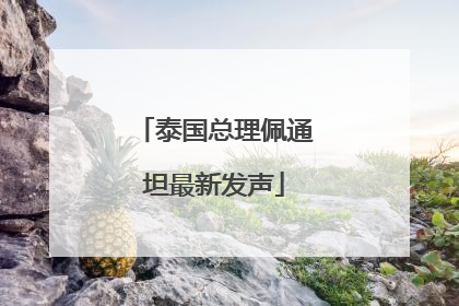 泰国总理佩通坦最新发声
