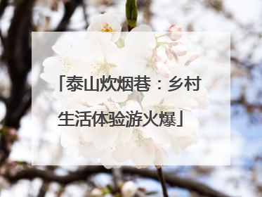 泰山炊烟巷：乡村生活体验游火爆