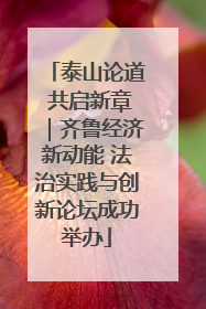 泰山论道 共启新章｜齐鲁经济新动能 法治实践与创新论坛成功举办