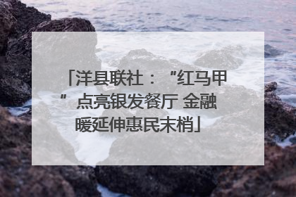 洋县联社：“红马甲”点亮银发餐厅 金融暖延伸惠民末梢