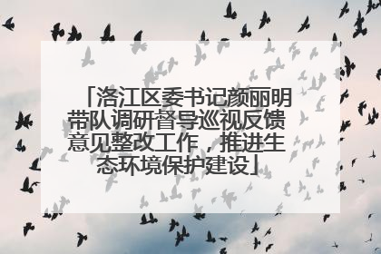 洛江区委书记颜丽明带队调研督导巡视反馈意见整改工作，推进生态环境保护建设