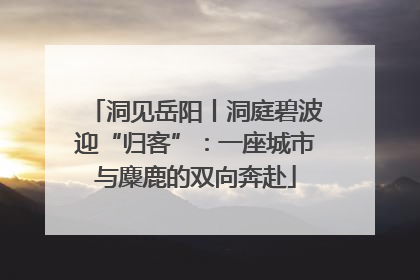 洞见岳阳丨洞庭碧波迎“归客”：一座城市与麋鹿的双向奔赴