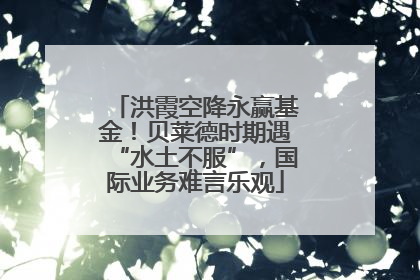 洪霞空降永赢基金！贝莱德时期遇“水土不服”，国际业务难言乐观