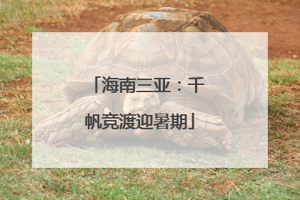 海南三亚：千帆竞渡迎暑期