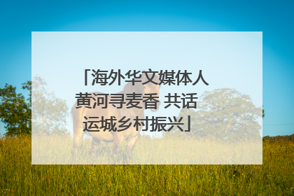 海外华文媒体人黄河寻麦香 共话运城乡村振兴