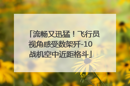流畅又迅猛！飞行员视角感受数架歼-10战机空中近距格斗