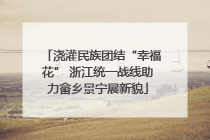 浇灌民族团结“幸福花” 浙江统一战线助力畲乡景宁展新貌