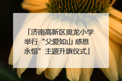 济南高新区奥龙小学举行“父爱如山 感恩永恒”主题升旗仪式