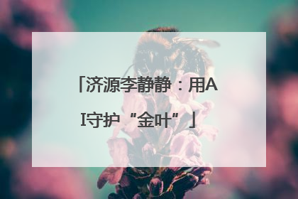 济源李静静：用AI守护“金叶”