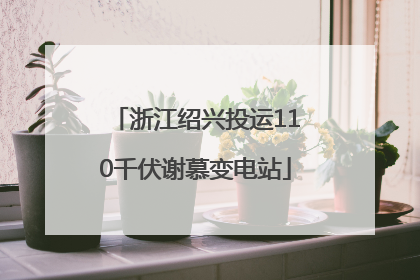 浙江绍兴投运110千伏谢慕变电站