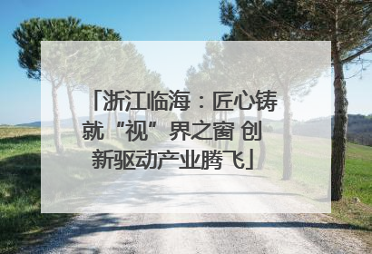 浙江临海：匠心铸就“视”界之窗 创新驱动产业腾飞