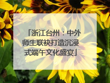 浙江台州：中外师生联袂打造沉浸式端午文化盛宴