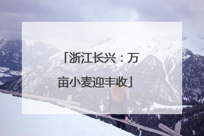 浙江长兴：万亩小麦迎丰收