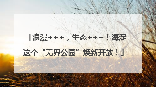 浪漫+++，生态+++！海淀这个“无界公园”焕新开放！