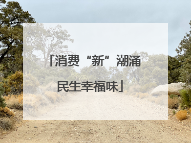 消费“新”潮涌 民生幸福味
